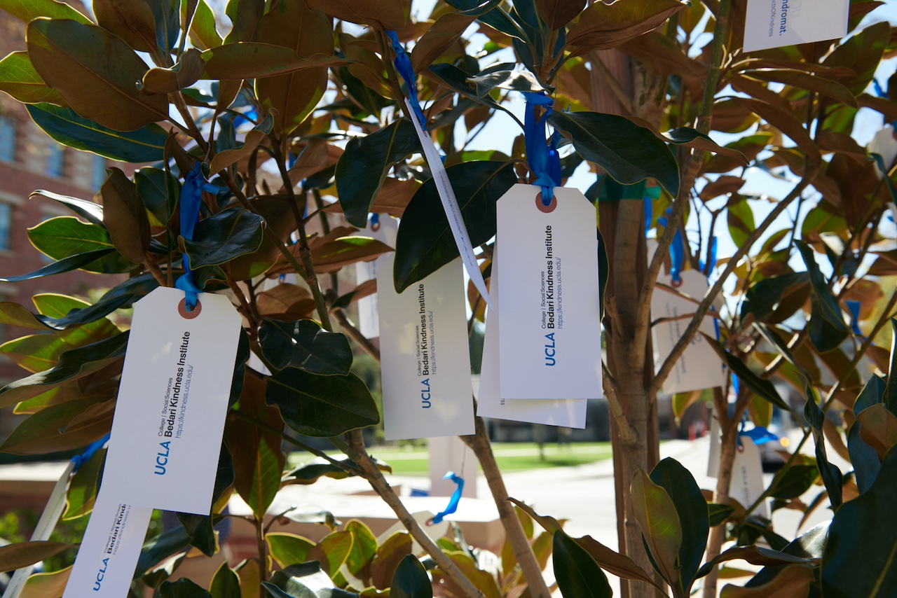 Bedari Kindness Institute Event. Tags hanging from tree.