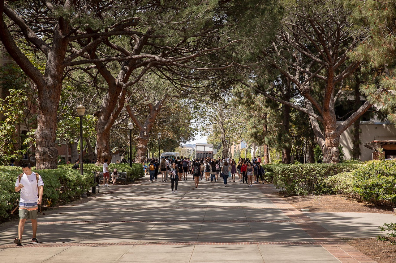 Students walking on Bruin walk