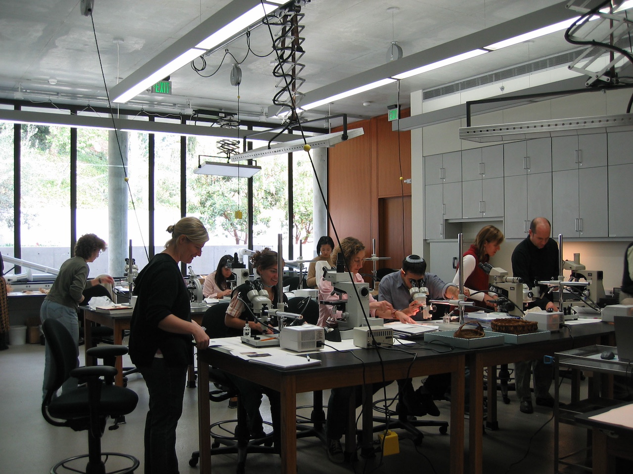 Students look at something under a microscope