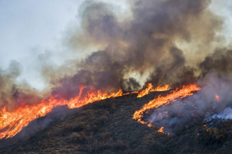 New UCLA Data Brief Reveals Wildfire Impacts Beyond Burn Zones, Highlighting Disparities in Health and Economic Vulnerability Among Latino and Underserved Communities